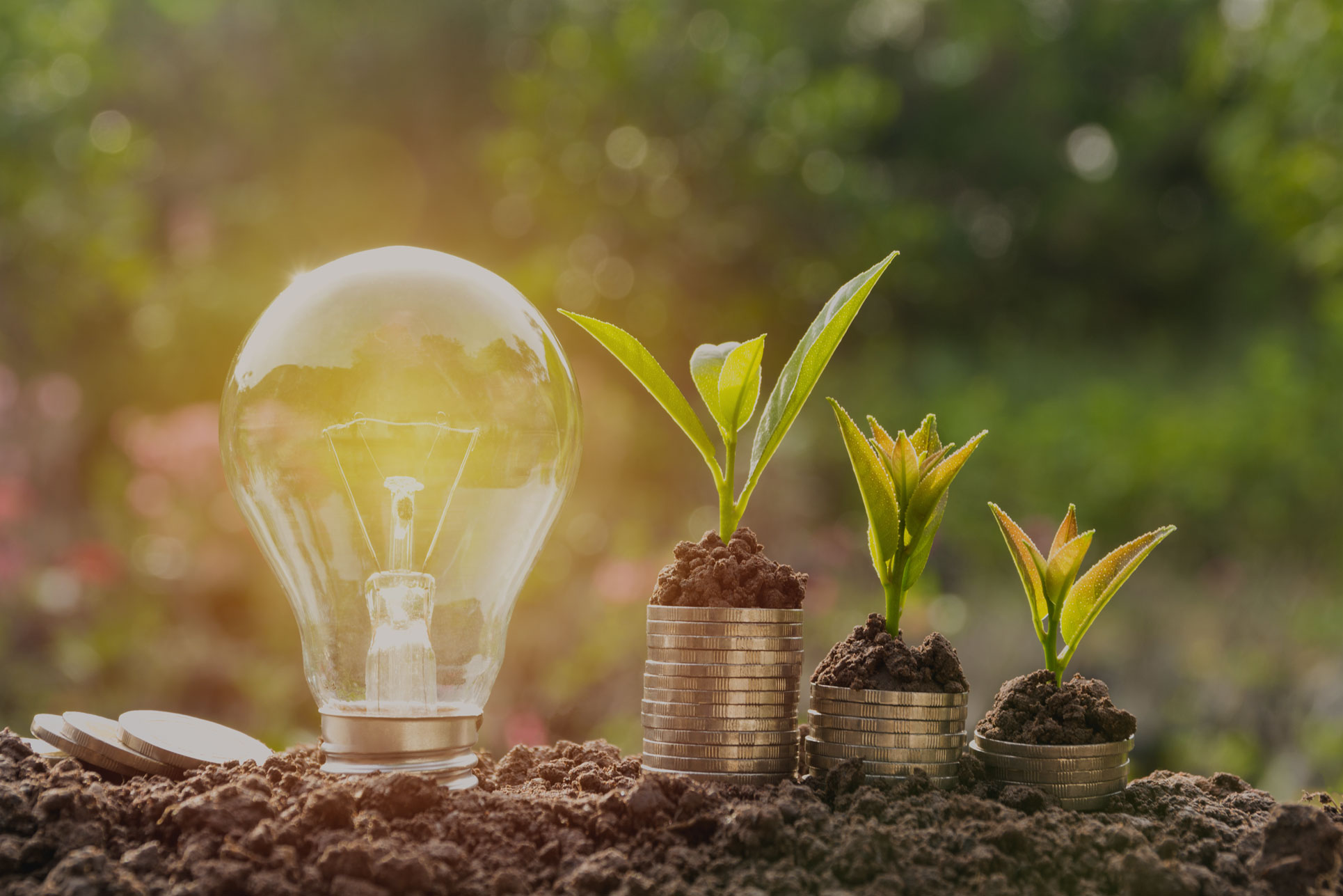 chronic-fatigue-banner