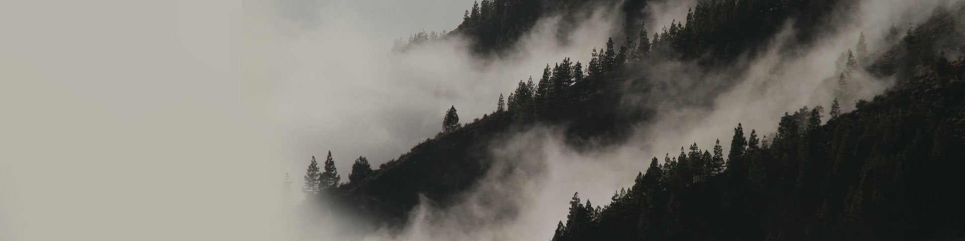 fog-header